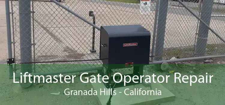 Liftmaster Gate Operator Repair Granada Hills - California